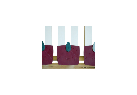 Apolon HN T6
